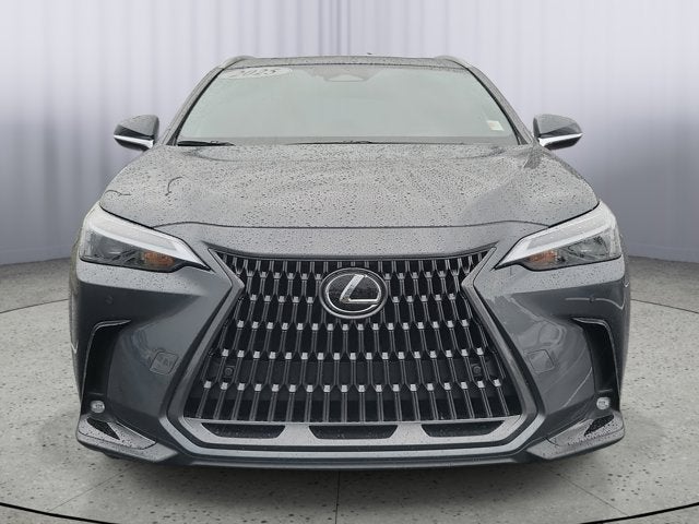 2025 Lexus NX